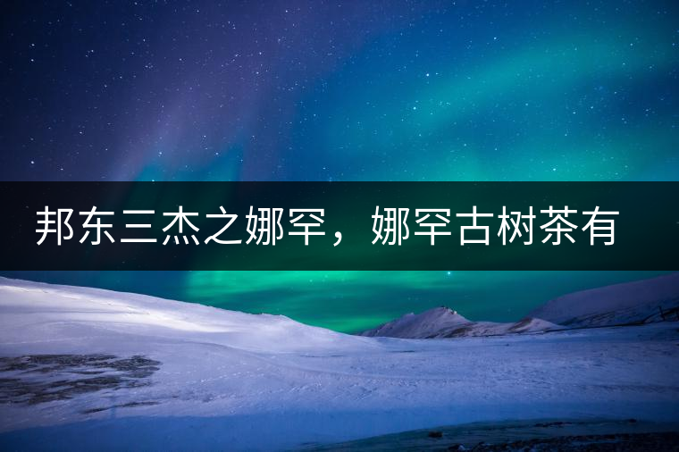 邦東三杰之娜罕，娜罕古樹茶有什么特點？