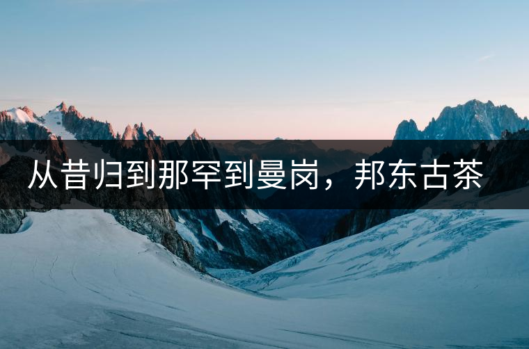 從昔歸到那罕到曼崗，邦東古茶藏著一條規(guī)律！