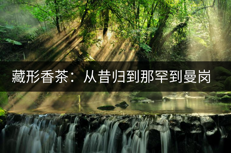 藏形香茶：從昔歸到那罕到曼崗，邦東古茶藏著一條規(guī)律！