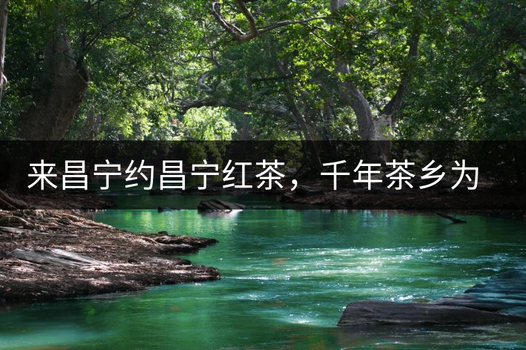 來昌寧約昌寧紅茶，千年茶鄉(xiāng)為您開啟生態(tài)之旅