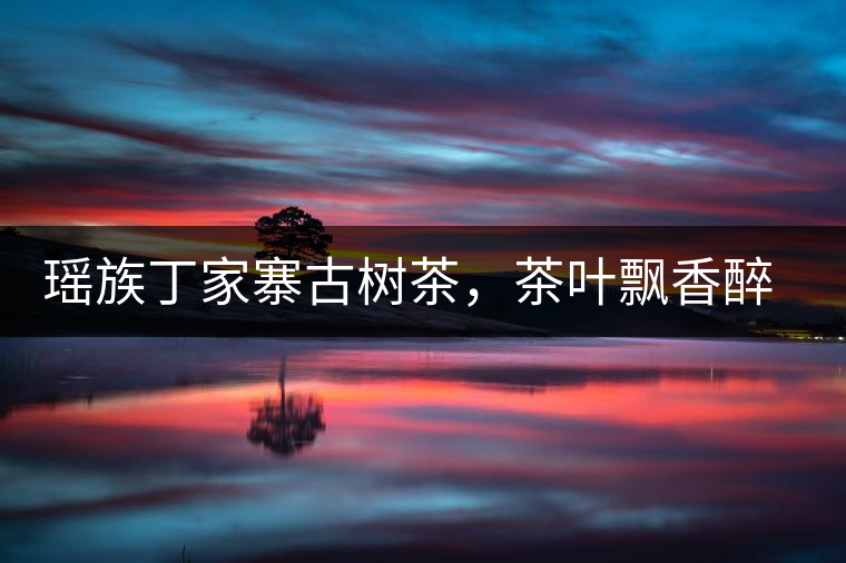 瑤族丁家寨古樹茶，茶葉飄香醉萬家