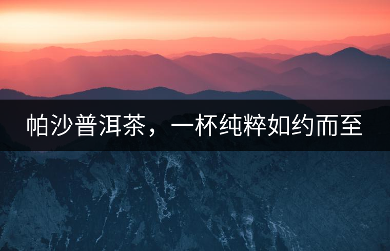 帕沙普洱茶，一杯純粹如約而至