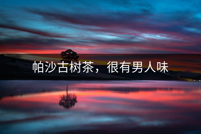 帕沙古樹茶，很有男人味