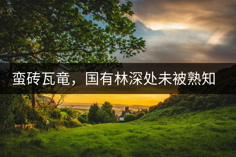 蠻磚瓦竜，國(guó)有林深處未被熟知的山頭