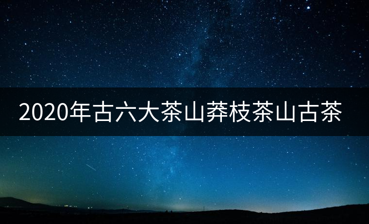 2020年古六大茶山莽枝茶山古茶園茶山行