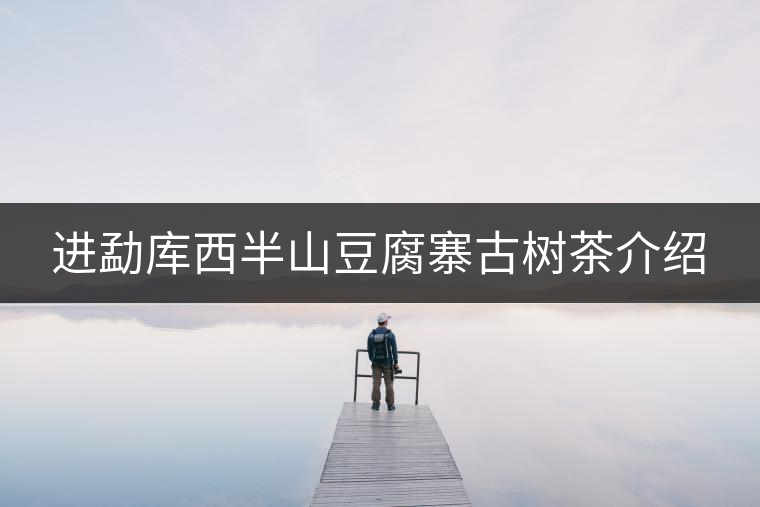 進(jìn)勐庫西半山豆腐寨古樹茶介紹 進(jìn)勐庫西半山豆腐寨古樹茶介紹