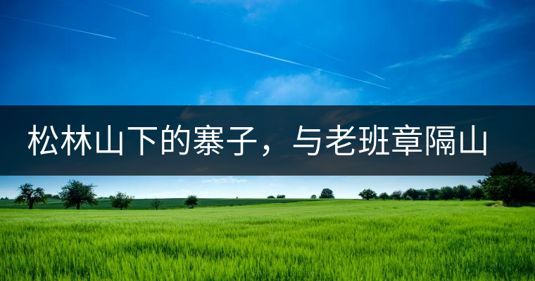 松林山下的寨子，與老班章隔山相望的廣別老寨