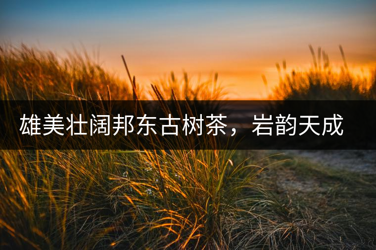 雄美壯闊邦東古樹茶，巖韻天成甘香鮮靈