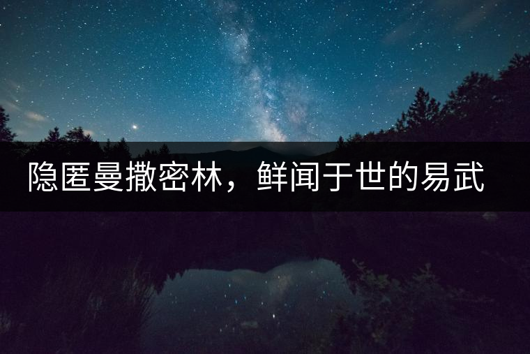 隱匿曼撒密林，鮮聞于世的易武一扇磨古樹茶