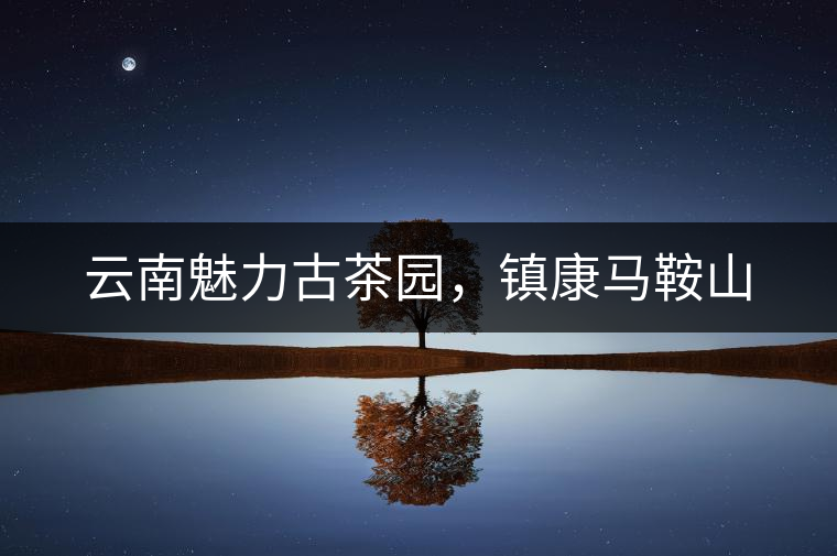云南魅力古茶園，鎮(zhèn)康馬鞍山