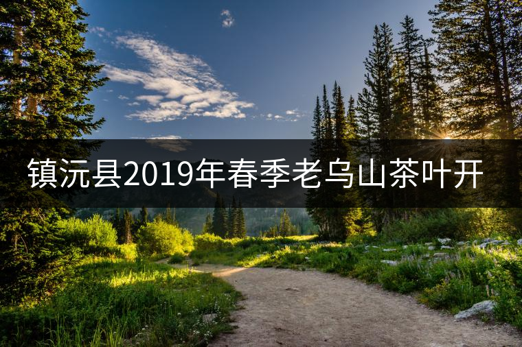 鎮(zhèn)沅縣2019年春季老烏山茶葉開(kāi)采節(jié)開(kāi)幕 鎮(zhèn)沅縣2019年春季老烏山茶葉開(kāi)采節(jié)開(kāi)幕