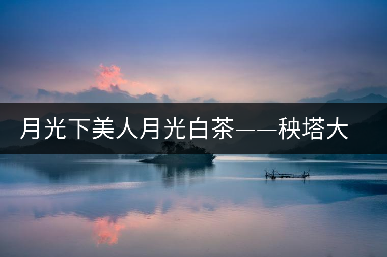 月光下美人月光白茶——秧塔大白茶古茶園