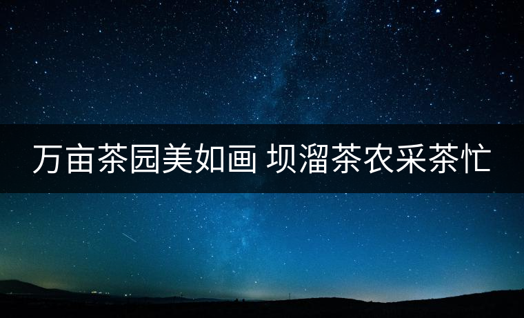 萬畝茶園美如畫 壩溜茶農(nóng)采茶忙 萬畝茶園美如畫 壩溜茶農(nóng)采茶忙