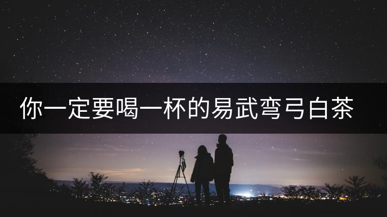 你一定要喝一杯的易武彎弓白茶園古樹(shù)茶