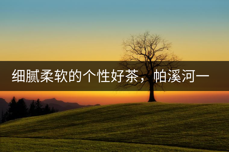 細膩柔軟的個性好茶，帕溪河一扇磨古樹茶