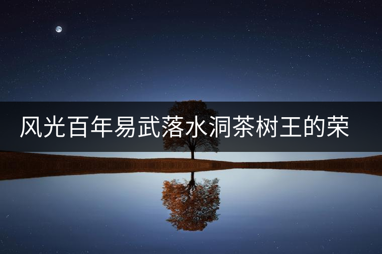風(fēng)光百年易武落水洞茶樹王的榮耀與衰亡 風(fēng)光百年易武落水洞茶樹王的榮耀與衰亡