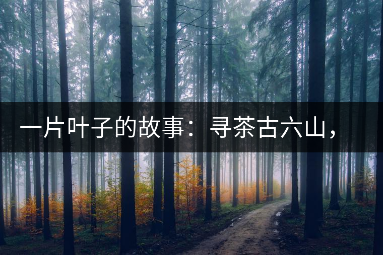 一片葉子的故事：尋茶古六山，倚邦最神秘