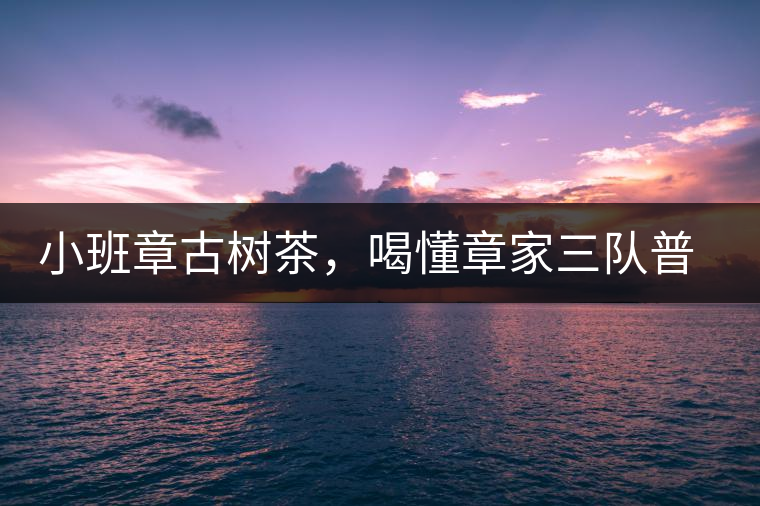 小班章古樹茶，喝懂章家三隊普洱茶