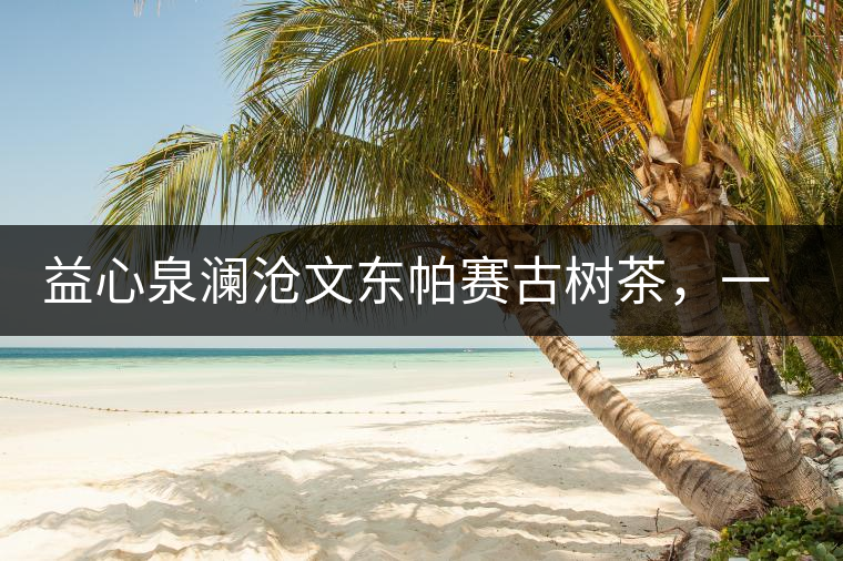 益心泉瀾滄文東帕賽古樹(shù)茶，一山茶兩岸香