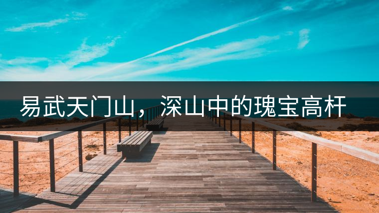 易武天門山，深山中的瑰寶高桿古樹