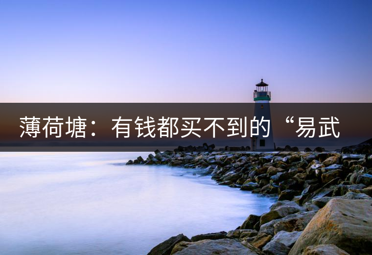 薄荷塘：有錢都買不到的“易武貴胄”，卓爾不群，無茶可及