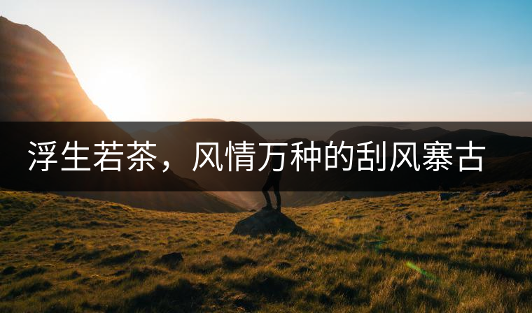 浮生若茶，風(fēng)情萬種的刮風(fēng)寨古樹茶