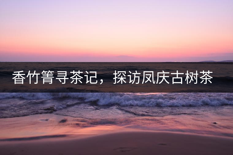 香竹箐尋茶記，探訪鳳慶古樹(shù)茶山