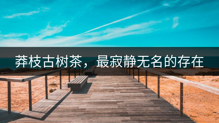 莽枝古樹茶，最寂靜無名的存在