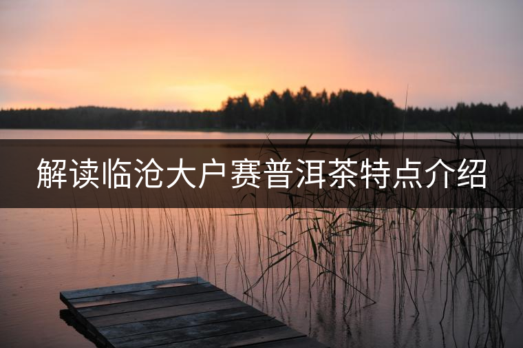 解讀臨滄大戶賽普洱茶特點(diǎn)介紹