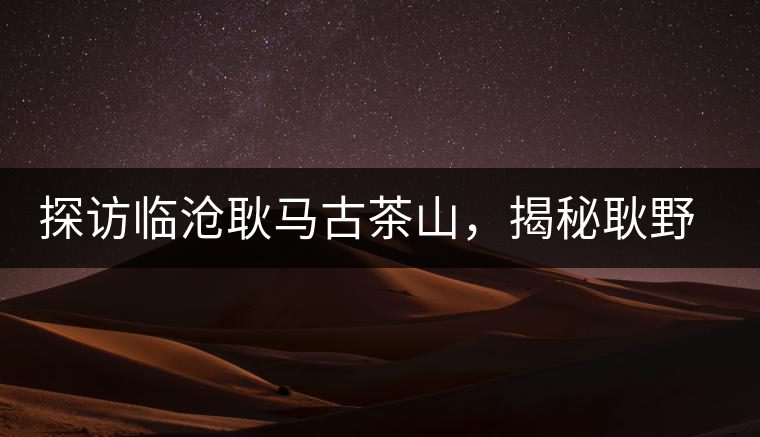 探訪臨滄耿馬古茶山，揭秘耿野生古茶樹群落