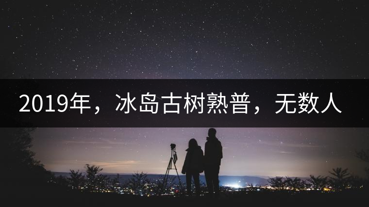 2019年，冰島古樹(shù)熟普，無(wú)數(shù)人在尋找