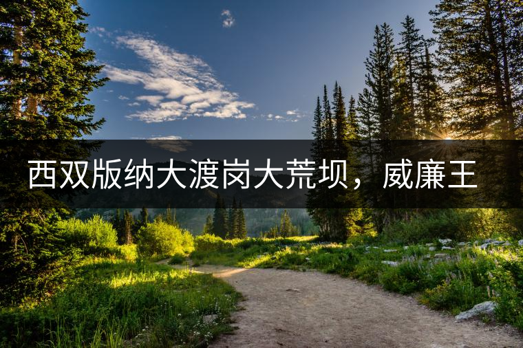 西雙版納大渡崗大荒壩，威廉王子曾經(jīng)到過的古樹茶山