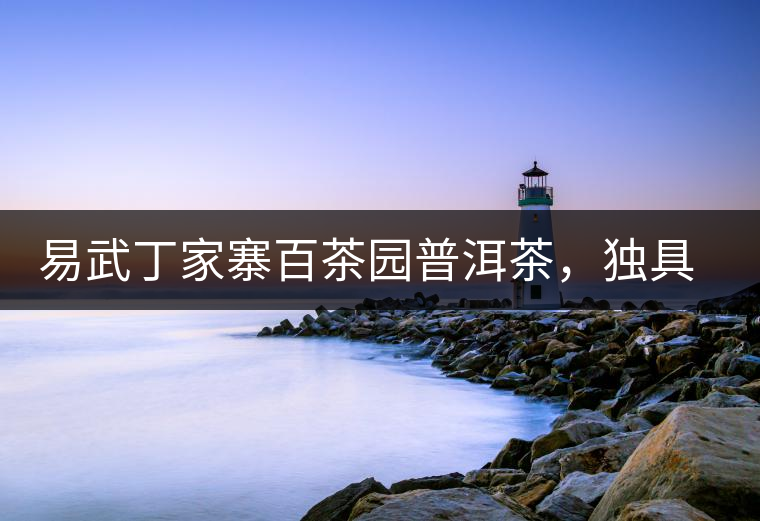 易武丁家寨百茶園普洱茶，獨具魅力的原始古樹茶