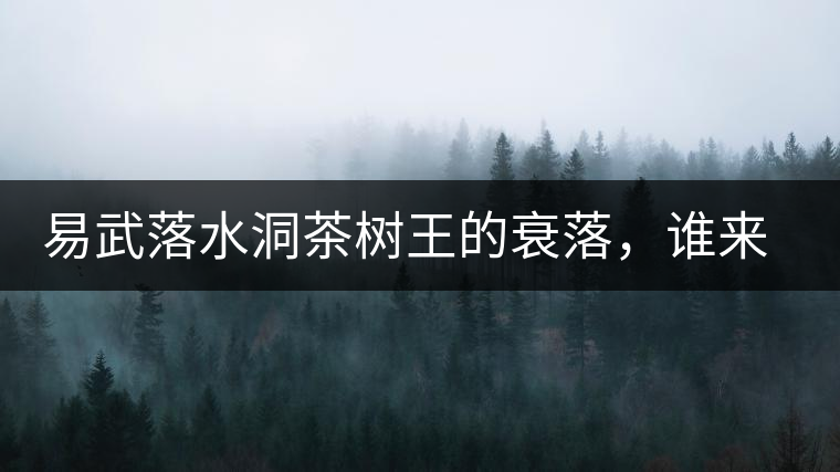 易武落水洞茶樹王的衰落，誰來關注古樹茶？