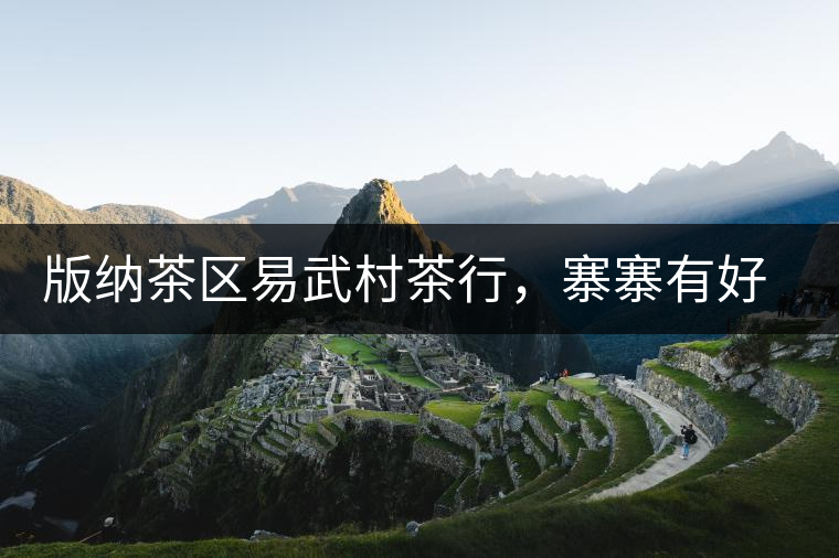 版納茶區(qū)易武村茶行，寨寨有好茶處處古茶香