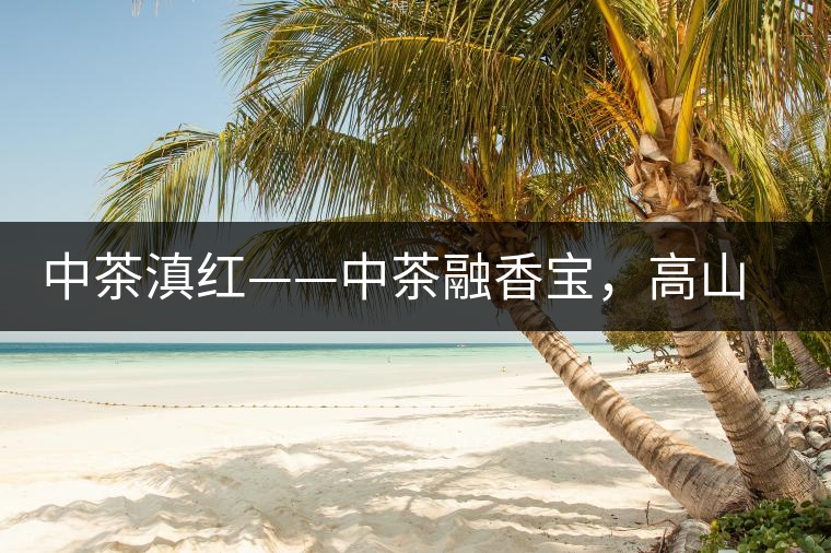 中茶滇紅——中茶融香寶，高山烏龍茶