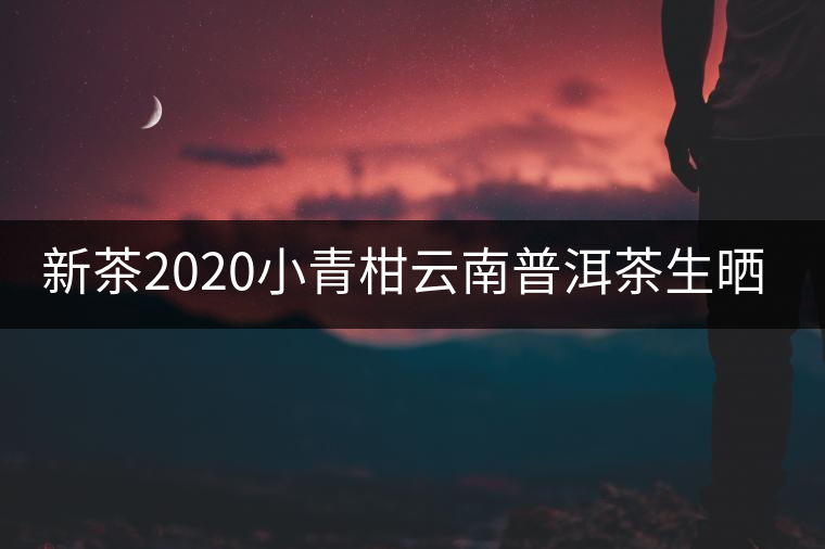 新茶2020小青柑云南普洱茶生曬鮮當季正宗新會糯米香散一罐裝250g