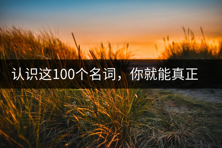 認識這100個名詞，你就能真正了解普洱茶？
