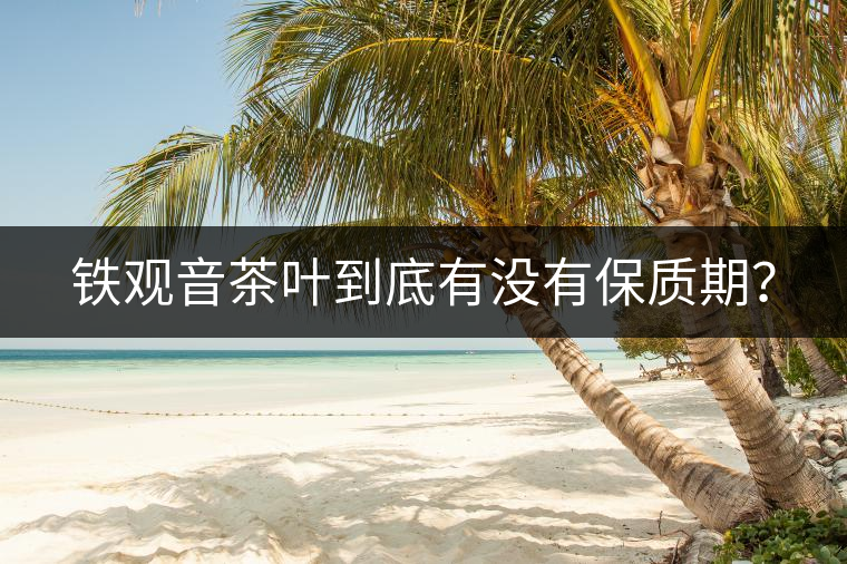 鐵觀音茶葉到底有沒有保質(zhì)期？