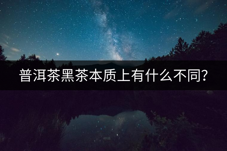 普洱茶黑茶本質(zhì)上有什么不同？