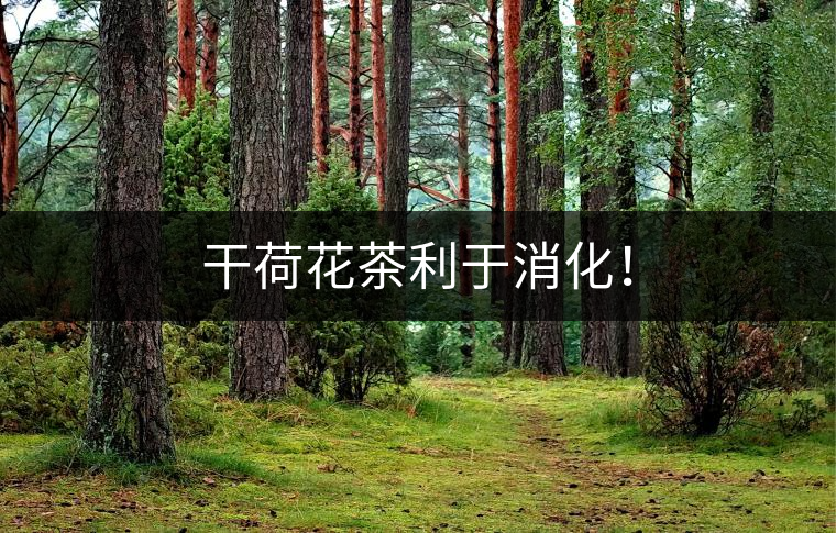 干荷花茶利于消化！