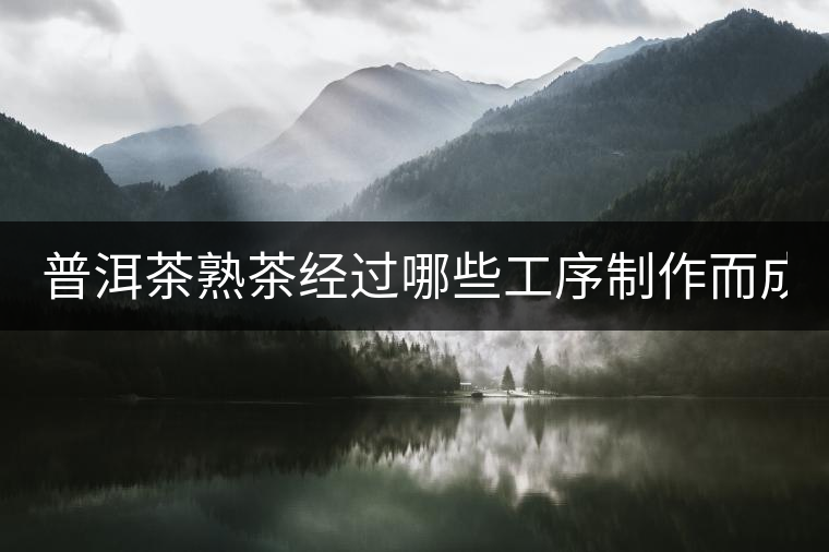 普洱茶熟茶經(jīng)過(guò)哪些工序制作而成？