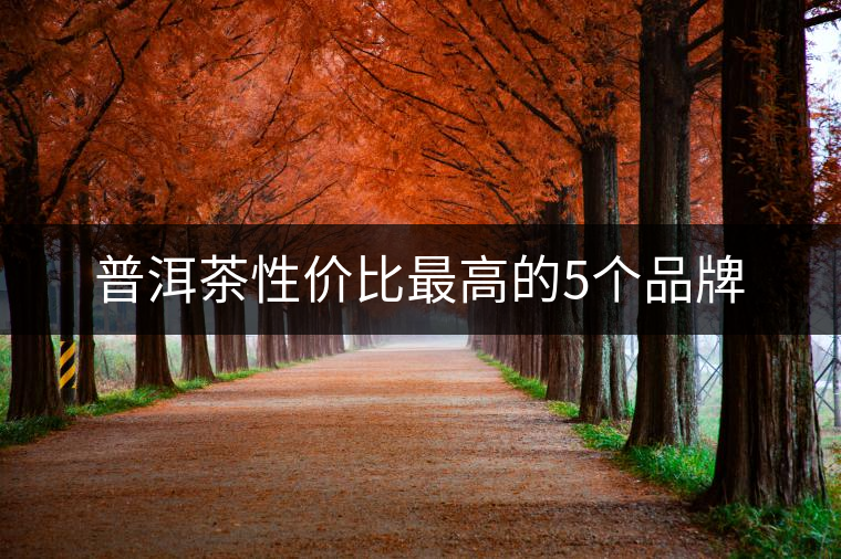 普洱茶性?xún)r(jià)比最高的5個(gè)品牌