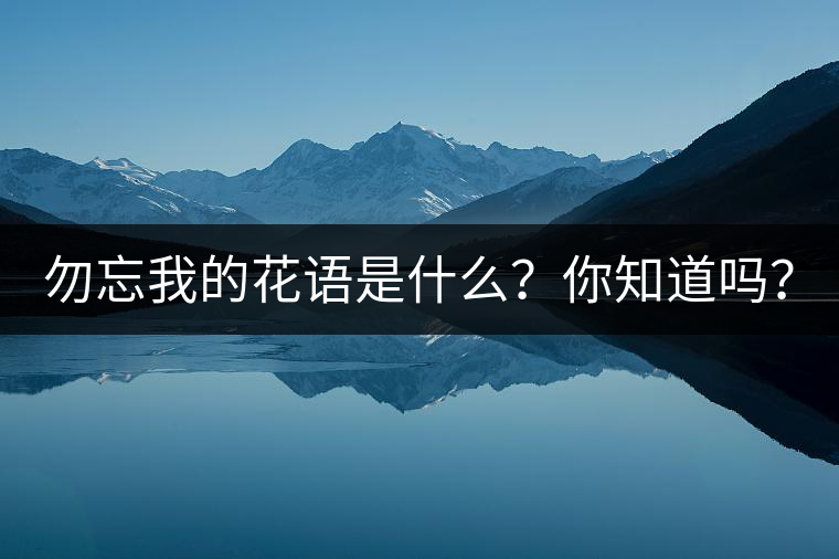 勿忘我的花語是什么？你知道嗎？