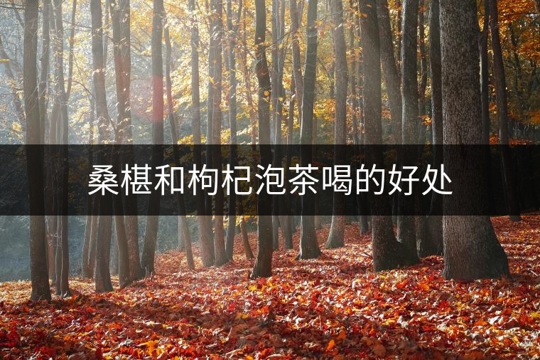 桑椹和枸杞泡茶喝的好處 桑椹和枸杞泡茶喝的好處