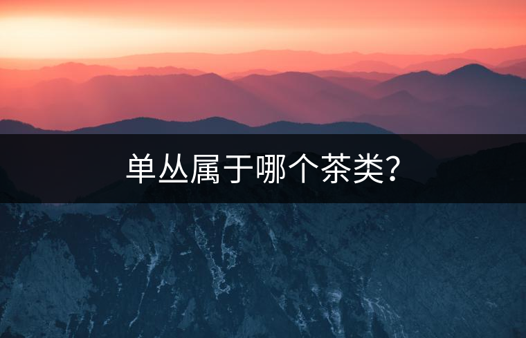 單叢屬于哪個茶類？