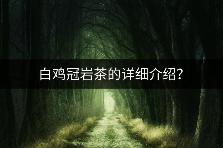 白雞冠巖茶的詳細介紹？