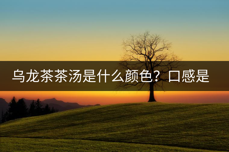 烏龍茶茶湯是什么顏色？口感是什么？