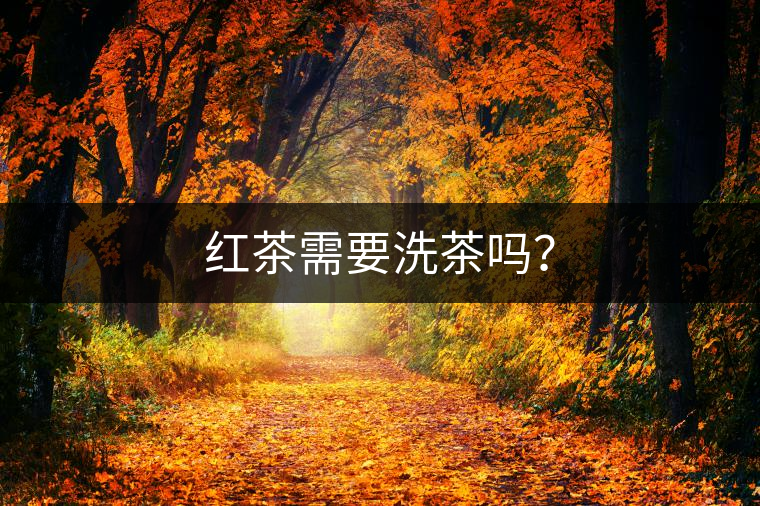 紅茶需要洗茶嗎？