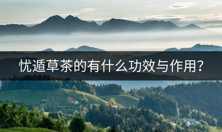 憂遁草茶的有什么功效與作用？